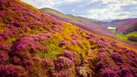 Biuro podróży Strade d'Italia Mikołów